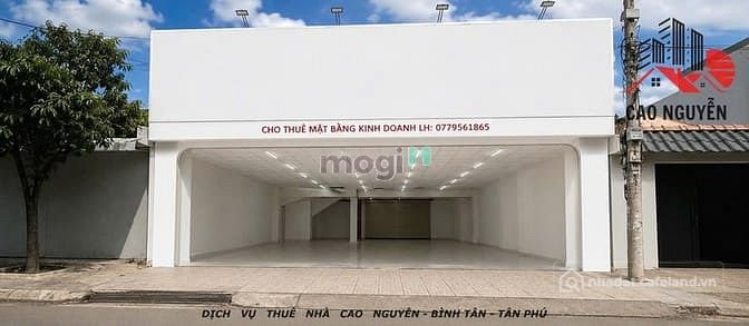 Bất động sản tại TP. Hồ Chí Minh - ảnh 1