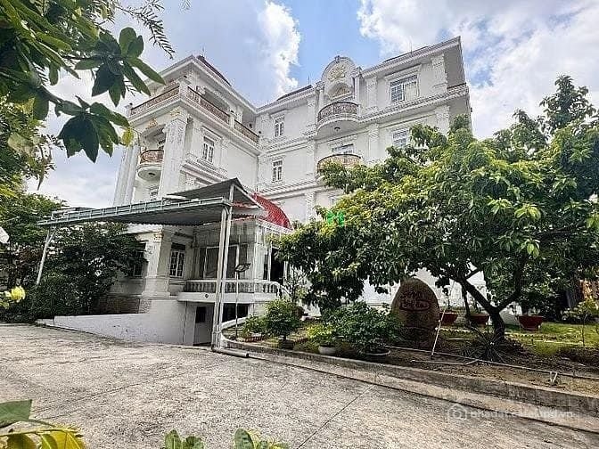 Bất động sản tại TP. Hồ Chí Minh - ảnh 1