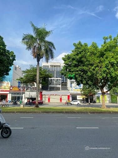 Bất động sản tại TP. Hồ Chí Minh - ảnh 1