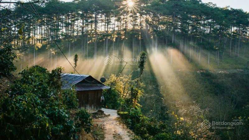 Bất động sản tại Lâm Đồng - ảnh 1