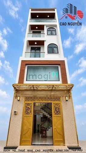 Bất động sản tại TP. Hồ Chí Minh - ảnh 1