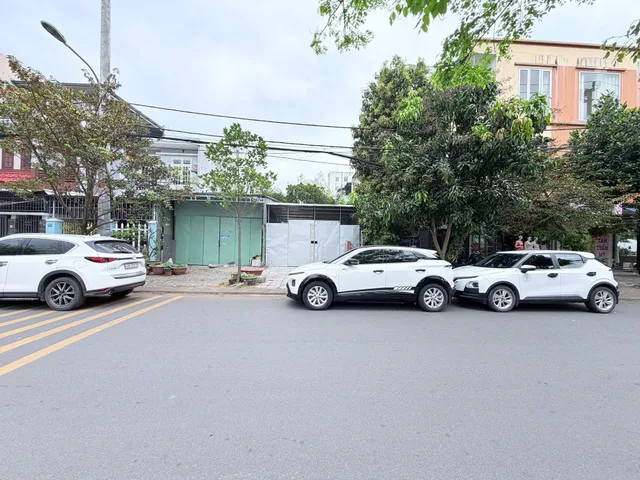 Bất động sản tại Đà Nẵng - ảnh 1