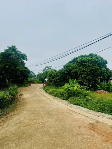Bất động sản tại Phú Thọ - ảnh 1