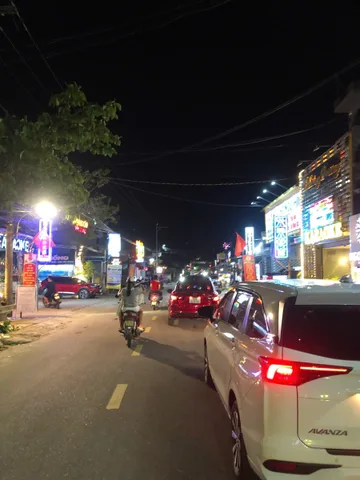 Bất động sản tại Đà Nẵng - ảnh 1