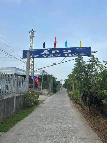 Bất động sản tại Long An - ảnh 1