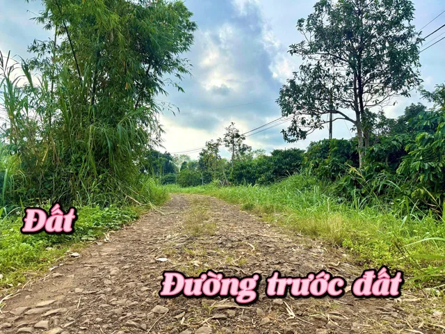 Bất động sản tại Đắk Lắk - ảnh 1