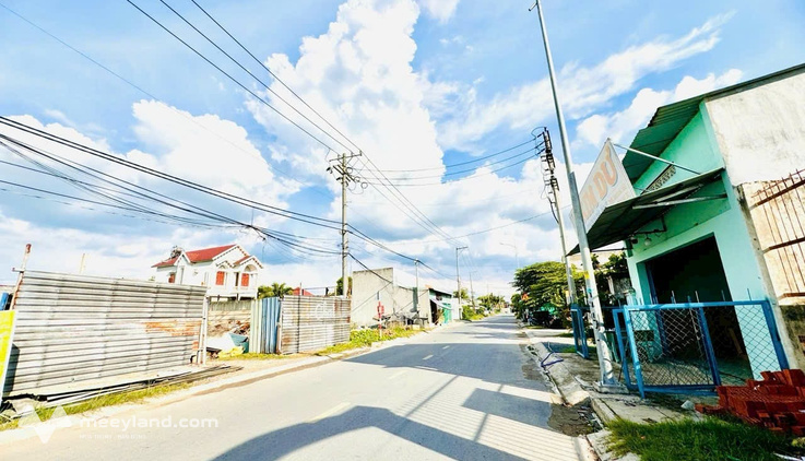 Bất động sản tại Long An - ảnh 1
