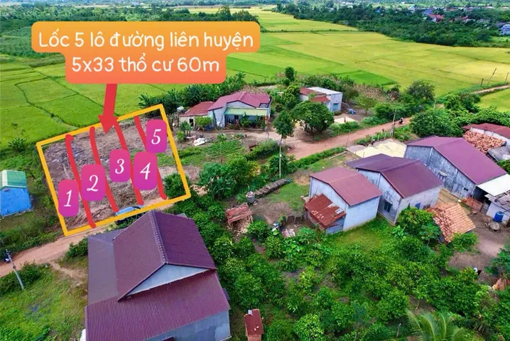 Bất động sản tại Đắk Lắk - ảnh 1