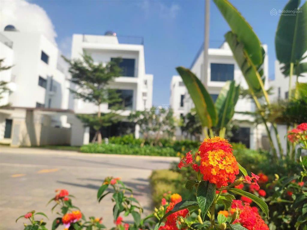 Bất động sản tại Thanh Hóa - ảnh 1
