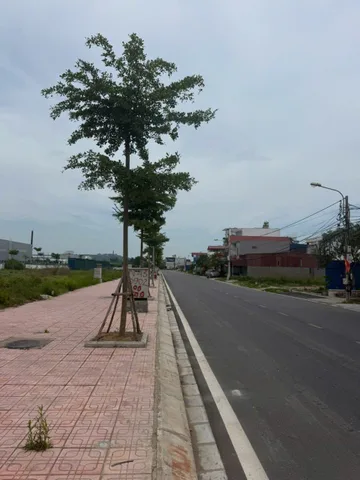 Bất động sản tại Hải Phòng - ảnh 1