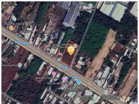 Bất động sản tại Bình Dương - ảnh 1