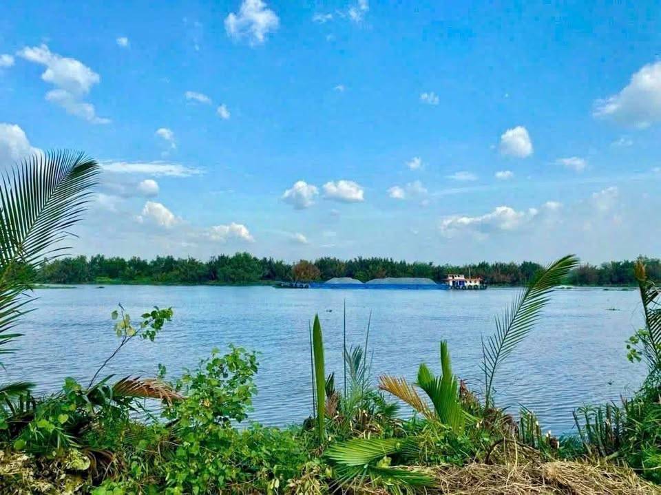 Bất động sản tại Long An - ảnh 1