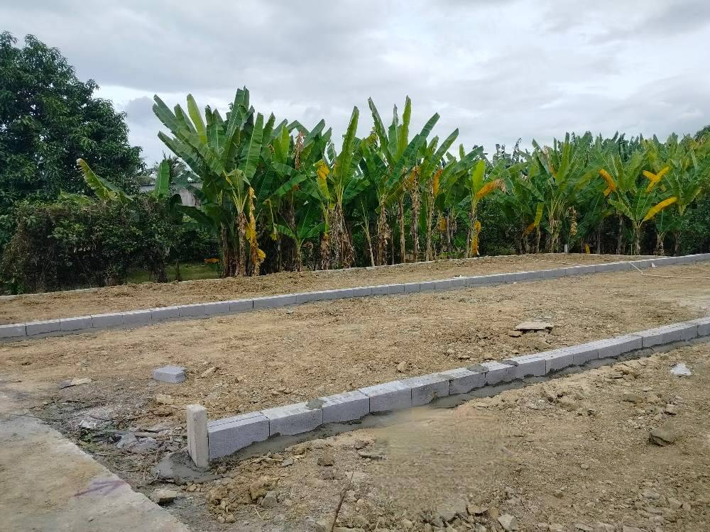 Bất động sản tại Khánh Hòa - ảnh 1