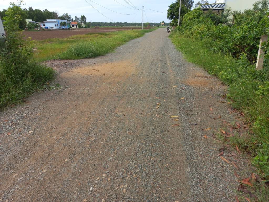 Bất động sản tại Long An - ảnh 1
