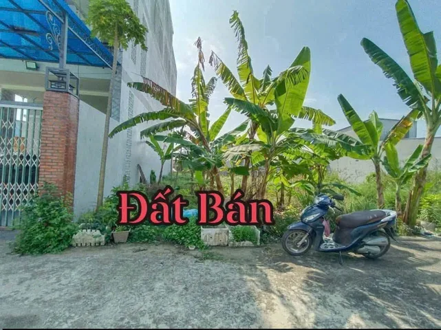 Bất động sản tại Đồng Tháp - ảnh 1
