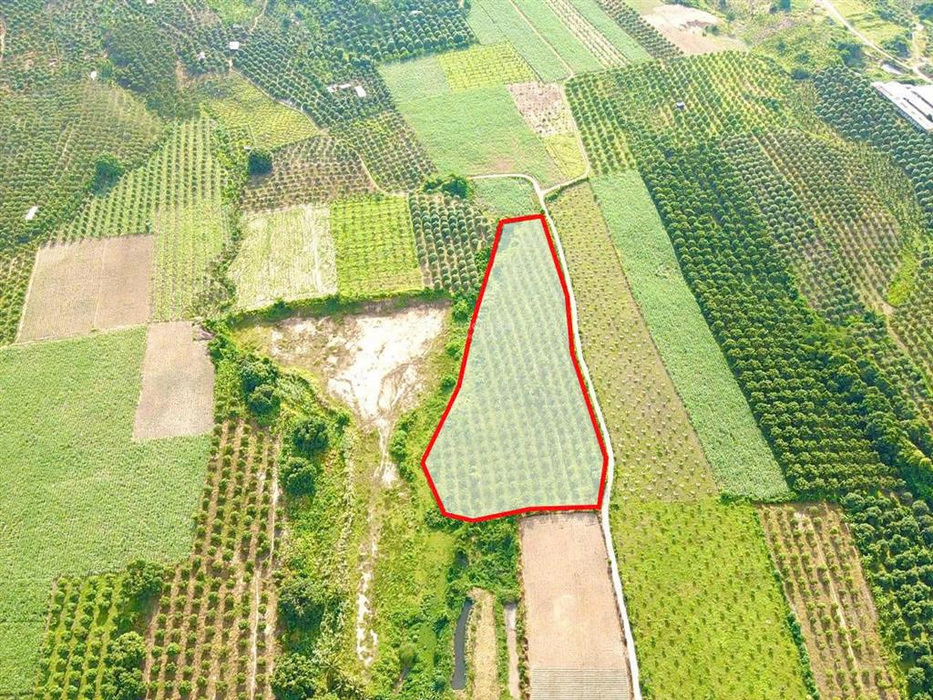 Bất động sản tại Khánh Hòa - ảnh 1