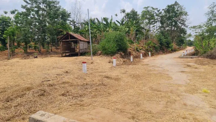 Bất động sản tại Đắk Lắk - ảnh 1