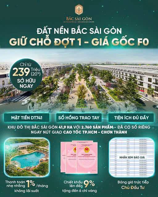 Bất động sản tại Bình Dương - ảnh 1