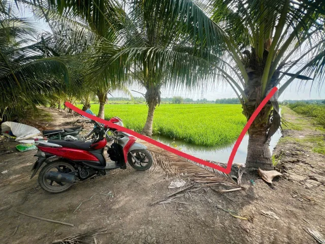 Bất động sản tại Tây Ninh - ảnh 1