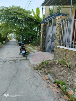Bất động sản tại Đồng Tháp - ảnh 1