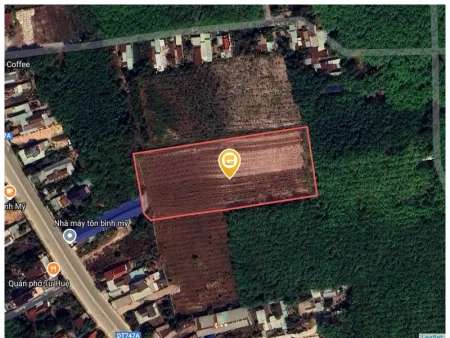 Bất động sản tại Bình Dương - ảnh 1