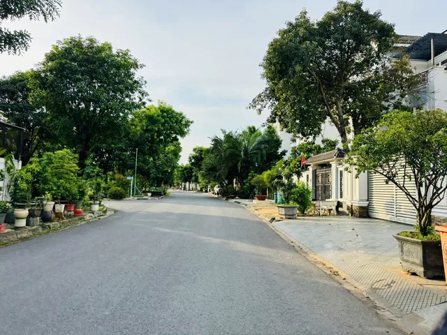 Bất động sản tại TP. Hồ Chí Minh - ảnh 1