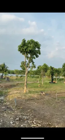 Bất động sản tại Đồng Nai - ảnh 1