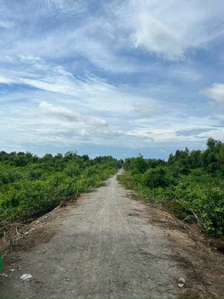 Bất động sản tại Long An - ảnh 1
