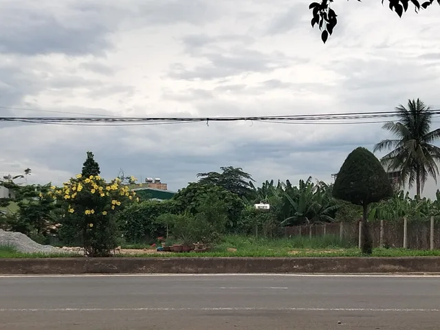 Bất động sản tại Quảng Ngãi - ảnh 1