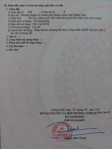 Bất động sản tại Quảng Ngãi - ảnh 1