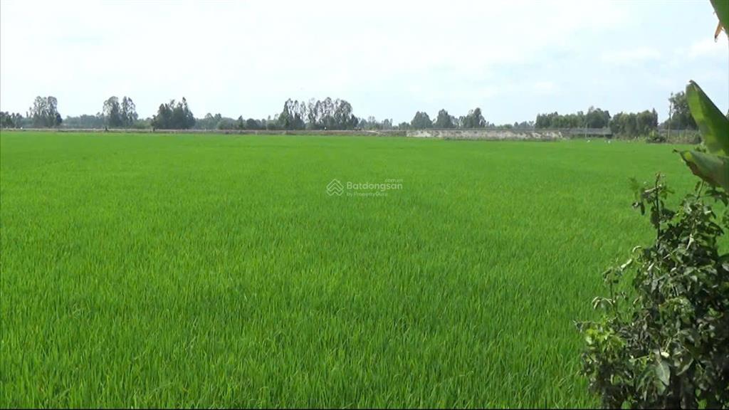 Bất động sản tại An Giang - ảnh 1