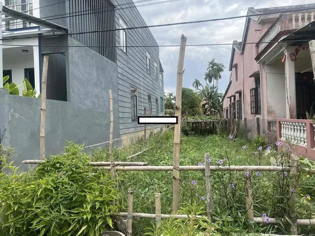 Bất động sản tại Đà Nẵng - ảnh 1