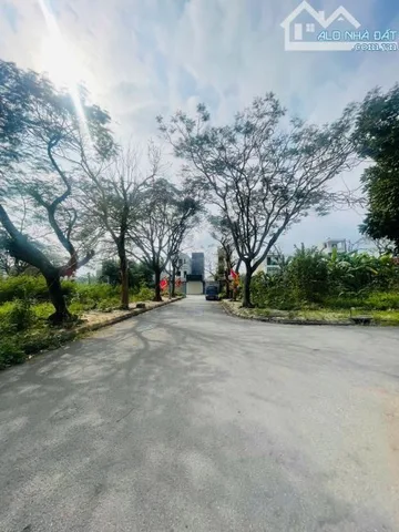Bất động sản tại Hải Phòng - ảnh 1