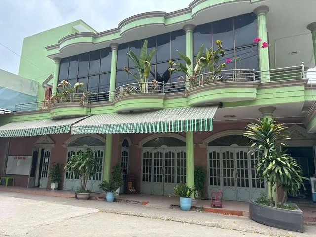 Bất động sản tại Bình Dương - ảnh 1