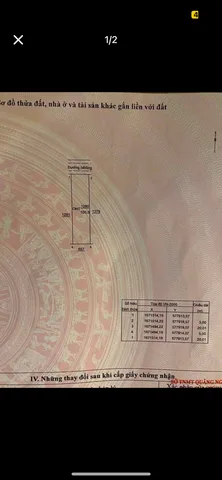 Bất động sản tại Quảng Ngãi - ảnh 1