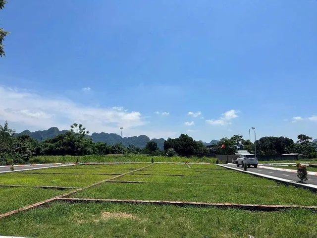 Bất động sản tại Phú Thọ - ảnh 1