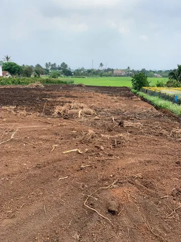 Bất động sản tại Đắk Lắk - ảnh 1