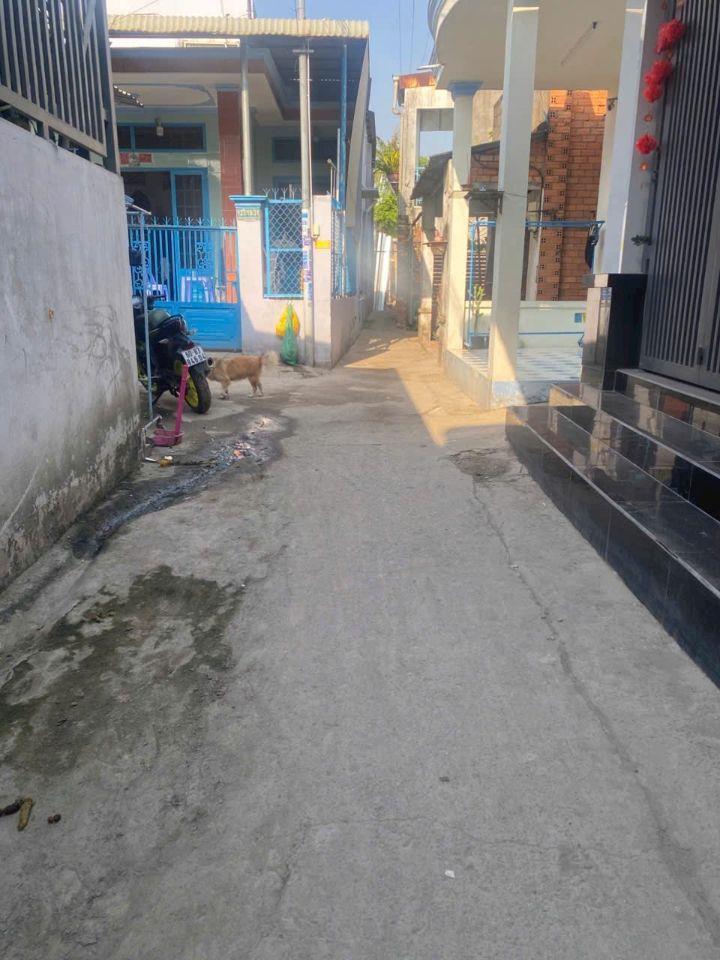 Bất động sản tại Đồng Nai - ảnh 1