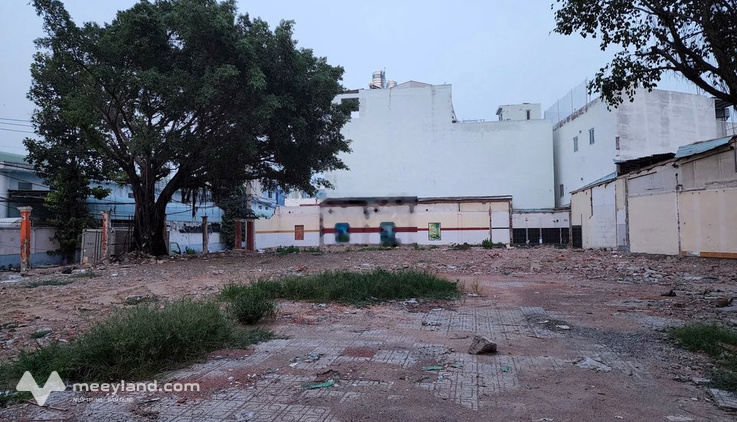Bất động sản tại TP. Hồ Chí Minh - ảnh 1