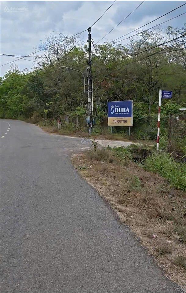 Bất động sản tại Bình Dương - ảnh 1