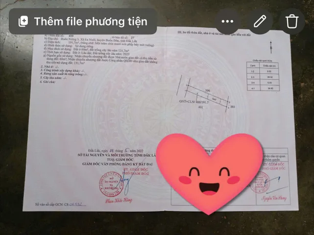 Bất động sản tại Đắk Lắk - ảnh 1