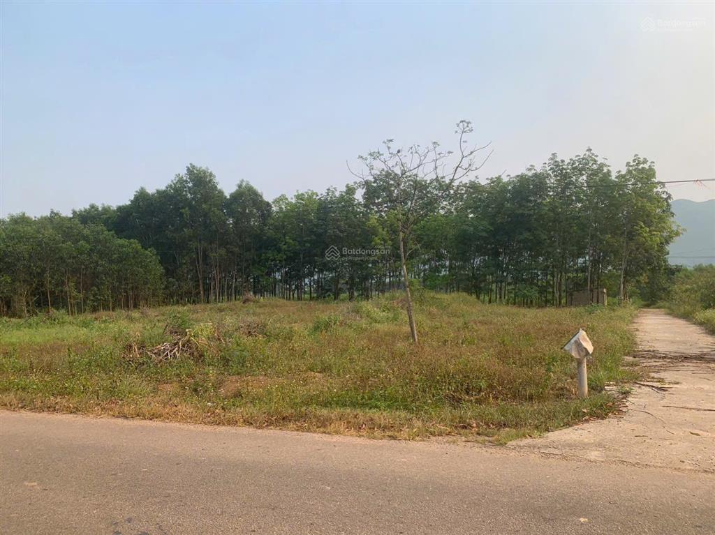 Bất động sản tại Thừa Thiên Huế - ảnh 1