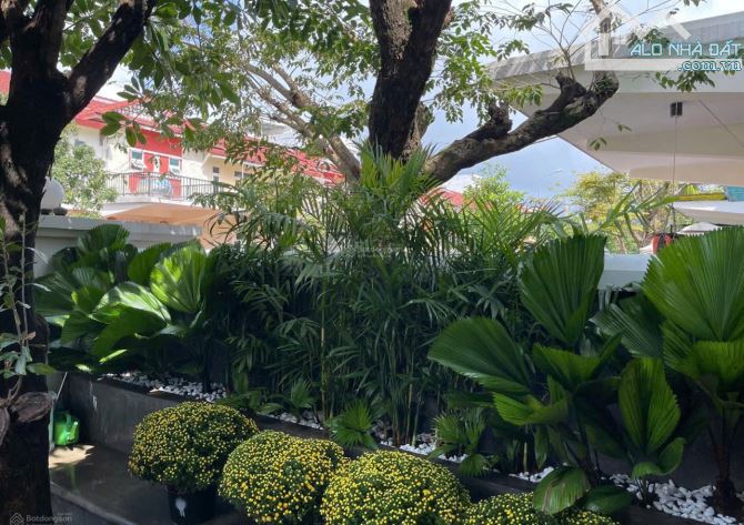 Bất động sản tại Đà Nẵng - ảnh 1