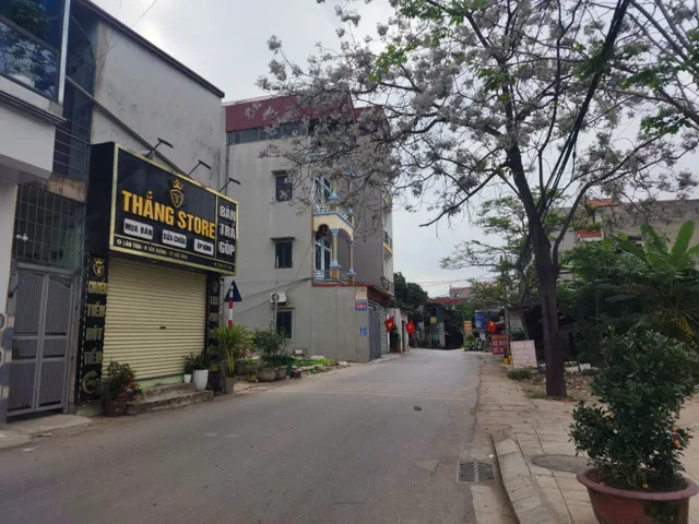 Bất động sản tại Bắc Ninh - ảnh 1