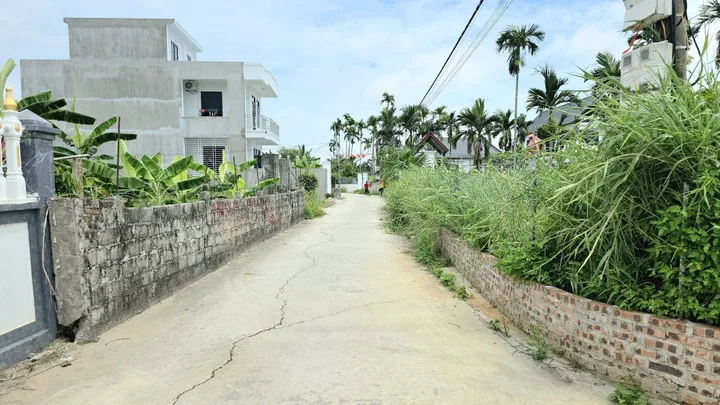 Bất động sản tại Hải Phòng - ảnh 1