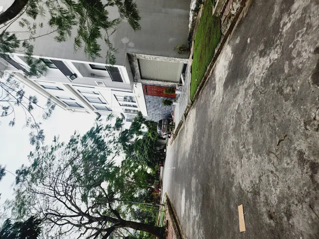 Bất động sản tại Hải Phòng - ảnh 1