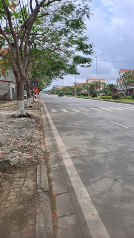 Bất động sản tại Hải Phòng - ảnh 1