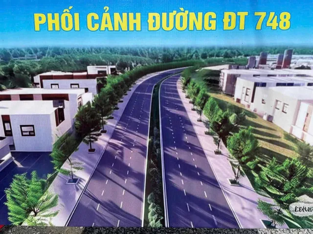 Bất động sản tại Bình Dương - ảnh 1