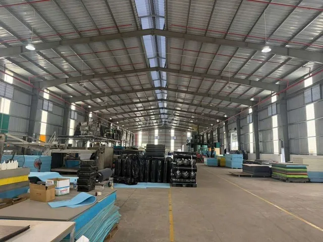 Bất động sản tại Bình Dương - ảnh 1