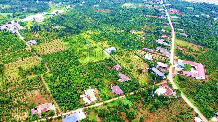 Bất động sản tại Đắk Lắk - ảnh 1